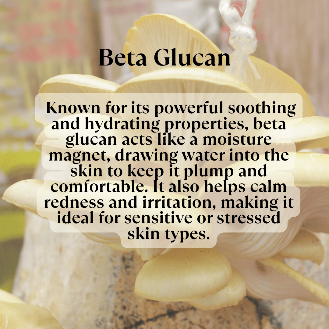 Beta glucan